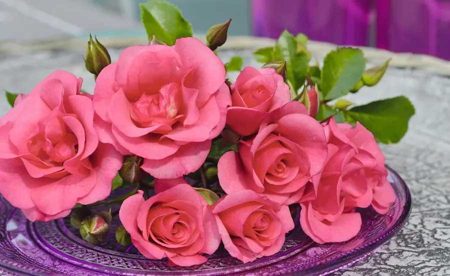 Medley Pink patio roses on a glass dish