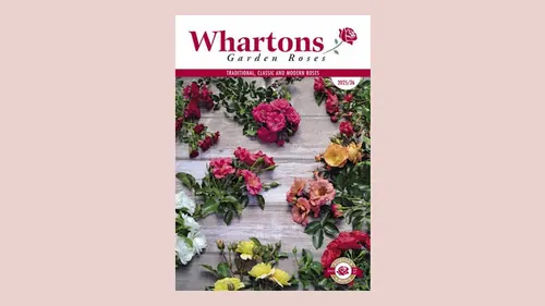 Cover of the Whartons Roses 25/26 season catalogue