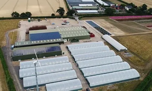Aerial view of the Whartons nursery buildings and polytunnels at South Green